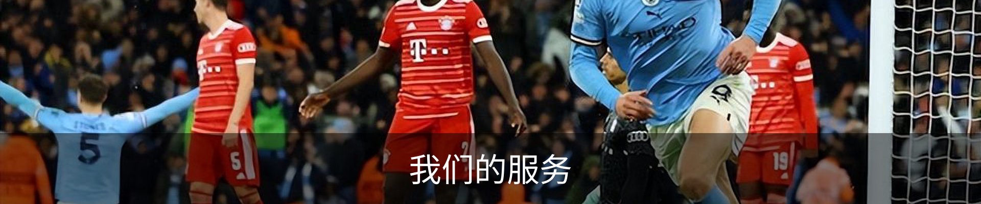 我们的服务